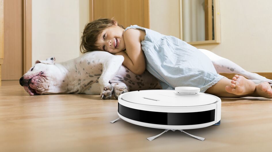 Rowenta ZR791000 X-Plorer Serie 95 Bürsten-Set | kompatibel