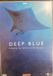 Deep Bol Deep Blue DVD