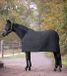 Waldhausen Fleece Underrug - Black - 135