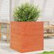 Maison Exclusive - Pot de fleurs pour jardin, brun foncé, 60x60x68,5 cm, bois de pin massif