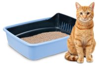 Ferplast Kattenbaktoilet voor katten ARIEL 10, Hygiënische kattenbak met Zeef die vuil elimineert voor eenvoudige reiniging, 46,5 x 35,5 xh 11,5 cm., Blauw