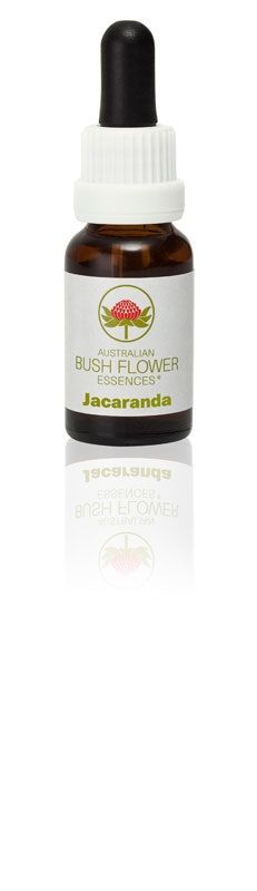 Australian Bush Jacaranda 15ml
