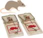 Alma Garden Dubbele muizenvallen set - 2x stuks - hout/metaal - 10 x 4 cm