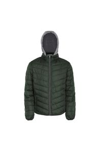 Rovic Tussenjas gris / vert