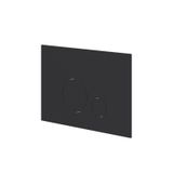 Ivy Bedieningspaneel Ivy Flush 2 Ronde Knoppen 3mm Mat Zwart PED