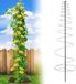 Merkloos / Sans marque Trellis Klimplantenrek - Set van 3
