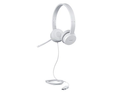 Lenovo GXD1E71385 Headset - USB Type-A - Grijs