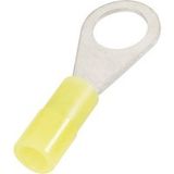 Cimco 180056 Ringkabelschoen