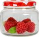 Hega Hogar Weckpot/voorraadpot Classico - 600 ml - kunststof - draaideksel - rood