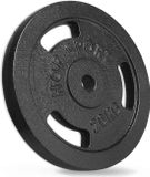 Hop-Sport 20 kg gietijzeren halterschijven