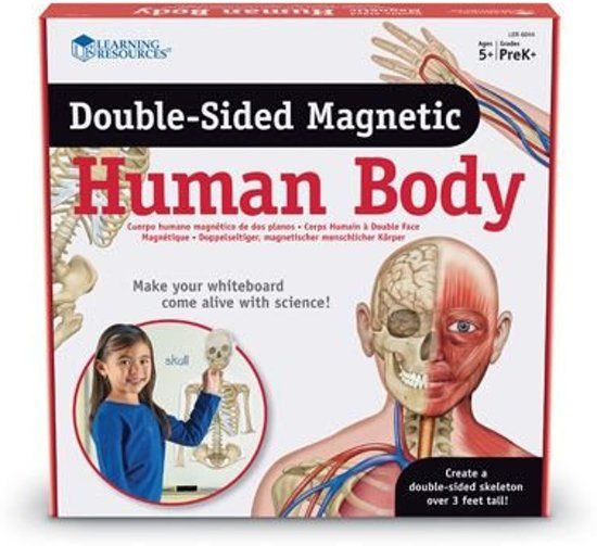Learning Resources Dubbelzijdige magneten - het menselijk lichaam - anatomie set
