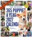 365 Workman Calendars 365 Puppies-A-Year Picture-A-Day® Wall Calendar 2027