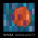 Konkurrent Sun Ra - Monorails & Satellites (Works For Solo Piano Vols. 1, 2, 3) (2 CD)