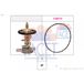 FACET Thermostat d'eau 7.8511