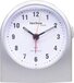 TechnoLine WT 753 - Radio Controlled Alarm Clock - Silver