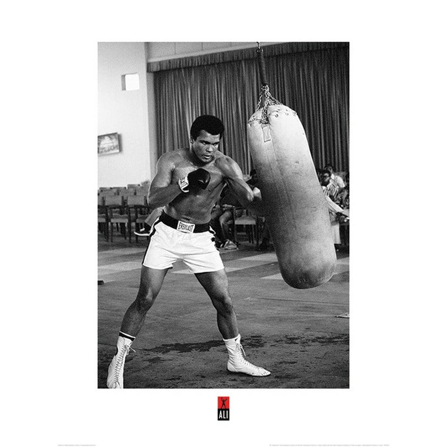 Pyramid muhammad ali punch bag kunstdruk 60x80cm