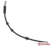 BREMBO Bremsschlauch T23033
