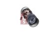 AKS DASIS 048017N Pulseur d'Air