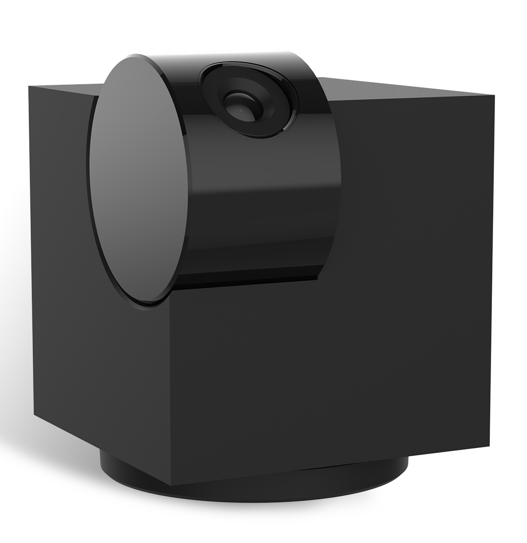 Laxihub P1 - IP-beveiligingscamera - Zwart