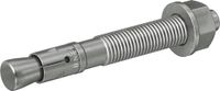 Fischer 20x Bolzenanker FBN II 12/5 K R roestvrij staal - 508011