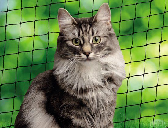 Nobby Kattennet voor Balkon - 2 x 3 meter