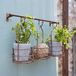 LOBERON Hemente Wandrek met plantenmanden
