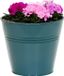 Mega Collections plantenpot/bloempot Bob - zink - zeegroen - D11 X H10 cm