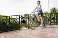 Licorne Vélo Stella Premium Vélo de ville