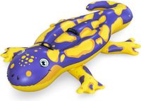 Bestway Opblaasbare Salamander Figuur met Handvatten 191x119 cm +3 Jaar Strand en Zwembad 41502