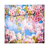 Homemania Muurfoto, bloemen, natuur, voor woonkamer, slaapkamer, meerkleurig, 60 x 3 x 60 cm, HM20KNV60 x 60 – 254, polyester, hout