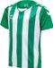Hummel Maillot de sport pour enfant Hmlcore Xk rayé jersey S/S Enfants 212642