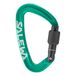 Salewa Ortles Schroef Karabijnhaak, Iers Vert, UNI