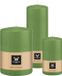 Wiedemann Cilinderkaarsen/stompkaarsen - set van 3 - lichtgroen