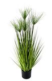 Flair Flower Cyprus gras in pot, kunststof, groen, 100 x 30 x 30 cm