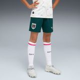 PUMA Sportbroek 'Österreich 2026' pastelgroen / donkergroen