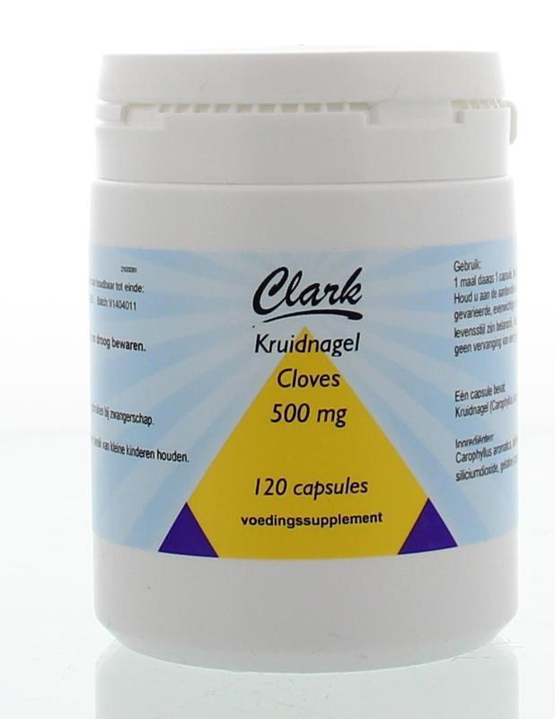 Holisan Kruidnagel Clove Lavanga Capsules 120st