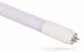 Spectrum LED T5 Glas Röhre 549mm 8W = 14W/840 G5 960lm Blanc neutre 4000K 230V