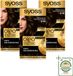 SYOSS Oleo Intense 3-10 Coloration Permanente - Brun Intense - 3 pièces