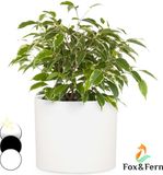 Fox & Fern Bloempot, Sierpot groot, UV- en vorstbestendige bloempotten, Bloempot voor binnen en buiten, Sierpotten voor kamerplanten, Sierpot met stop, Vezelsteen plantenpot, Enkele pot
