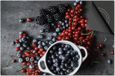 Dietrix Inductie beschermer 77x51 - afdekplaat inductie mat - Dietrix Kookplaat beschermer - Exclusief - Groente en Fruit - Besjes en fruit in wit bakje