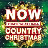 Bertus Distributie Now That's What I Call a Country Christmas
