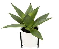 Kunstmatige vetplanten in pot met frame