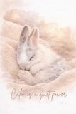 Bunny Cake: Calm is a Quiet Power: Inspirational Lined Notebook with Cake, a Sweet and Tender Bunny, 6" x 9", 100 Pages