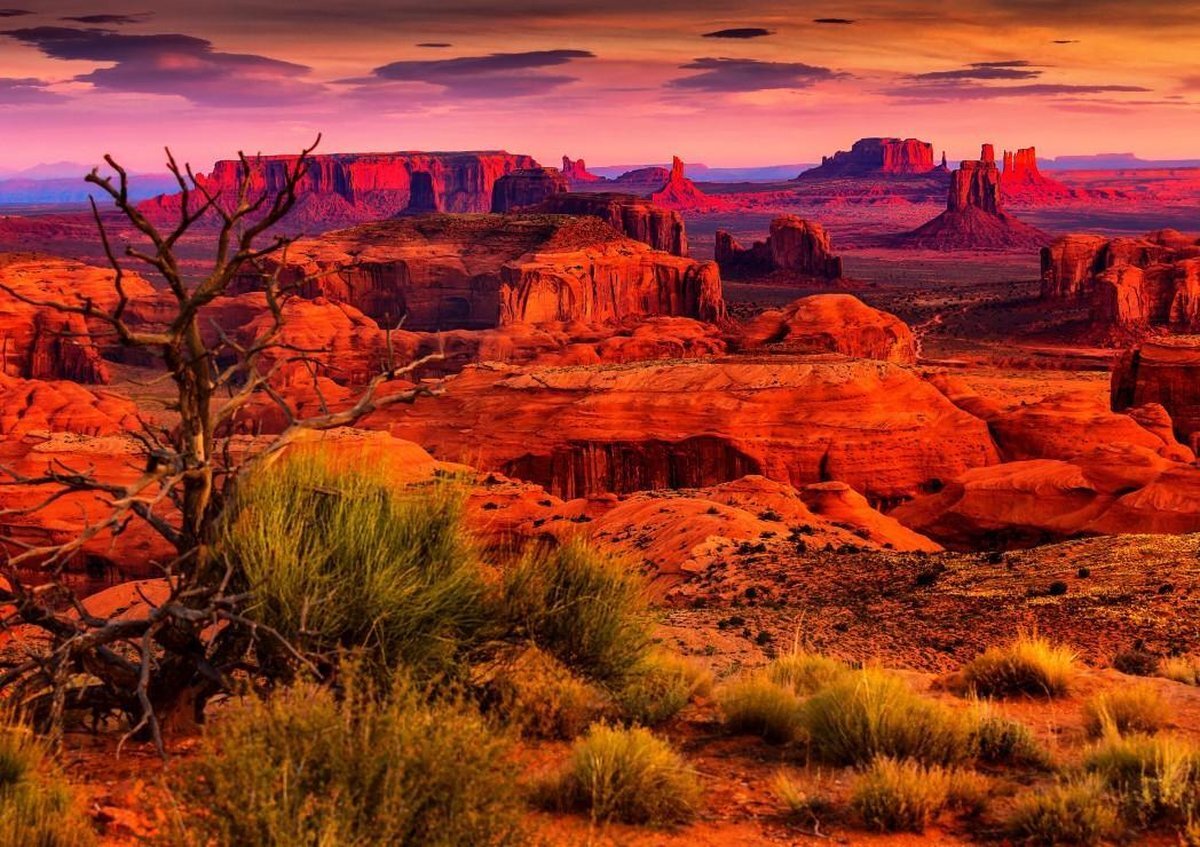 Bluebird Puzzle Monument Valley