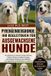 PYRENÄENBERGHUNDE: Bol Pyrenäenberghunde Paperback