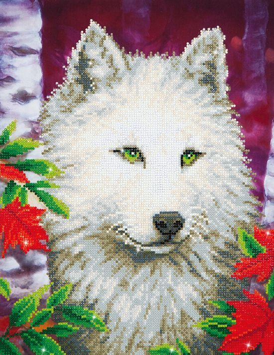 Diamond Dotz Â® painting White Wolf 35 5x45 7 cm