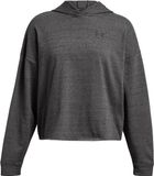 Under Armour Dames Ua Rival Terry Os Hoodie Castlerock Full Heather 025-S (US SM)
