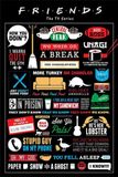 Netflix Friends Infographic - Maxi Poster