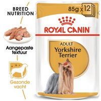 ROYAL CANIN Yorkshire Terrier Adult Mousse 12x85 g