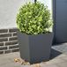 Prolenta Maison Exclusive - Plantenbakken, 2 stuks, antraciet, 40x40x40 cm, staal